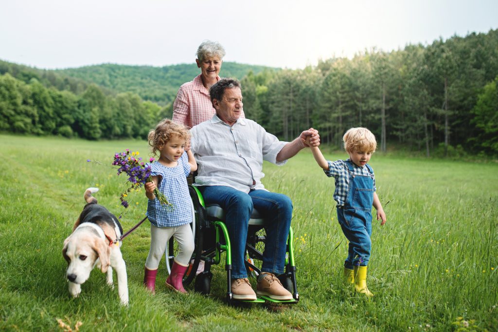 Small children with senior grandparents and dog on a walk on meadow in nature.